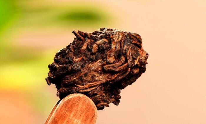 Lao Banzhang Ancient Tree Pu'er Black Tea, Pu'er Black Tea Tea King
