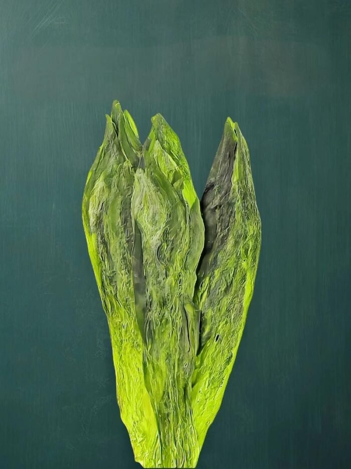 Taiping Houkui Green Tea is one of the top ten famous teas in China. It was founded in 1900.  