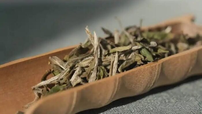White Peony Tea is one of the top ten famous teas in China and the Queen of White Tea. 