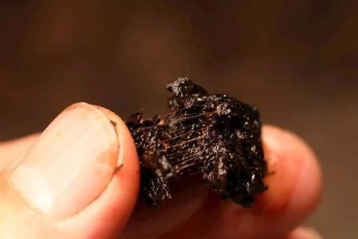 Lao Banzhang Ancient Tree Pu'er Black Tea, Pu'er Black Tea Tea King