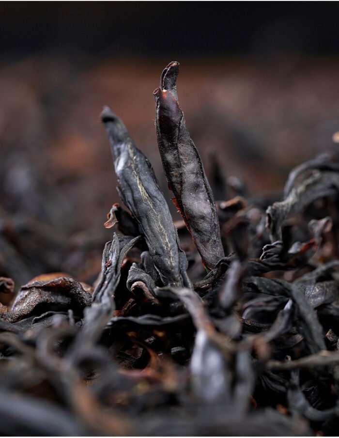 Thousand-year-old wild ancient tree black tea, a treasure among black teas  