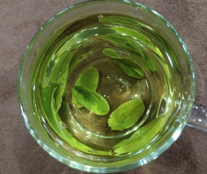 Lu'an Guapian Green Tea is a famous traditional Chinese tea and one of the top ten famous teas in China. It was an imperial tea in the Qing Dynasty.  